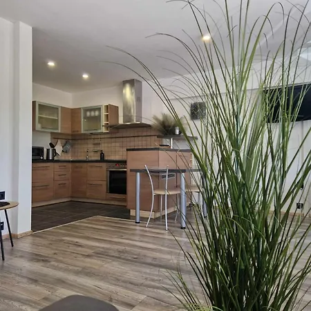 Duplex Apartment Vilte Druskininkai Exterior photo